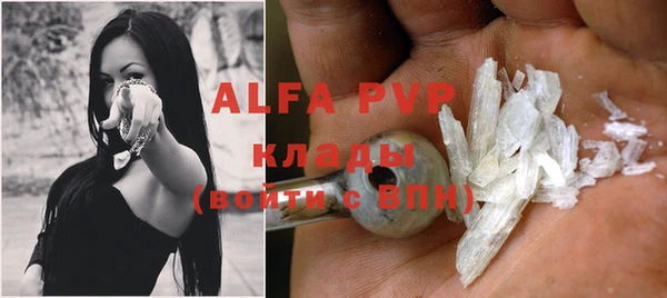 прущие крисы Бородино