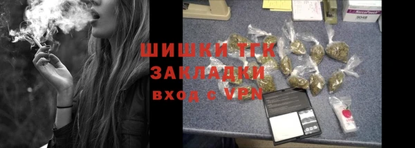 прущие крисы Бородино