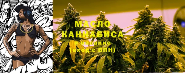 прущие крисы Бородино