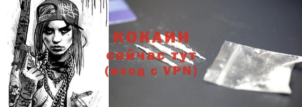 прущие крисы Бородино
