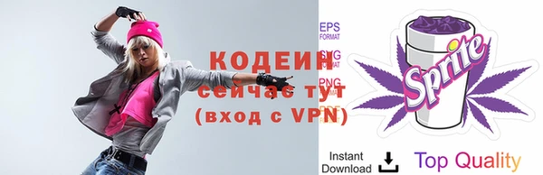 прущие крисы Бородино