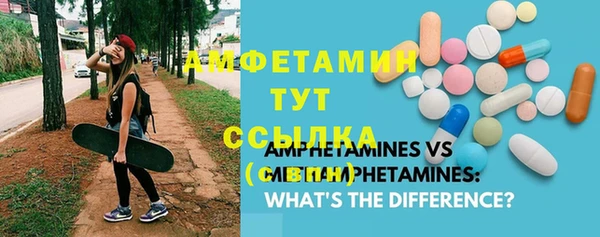 прущие крисы Бородино