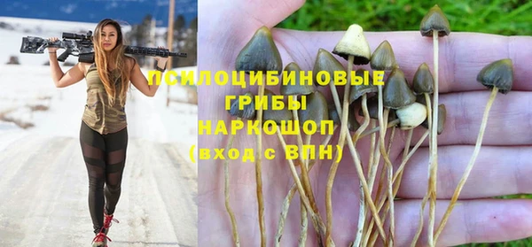 прущие крисы Бородино