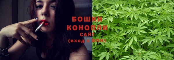 прущие крисы Бородино