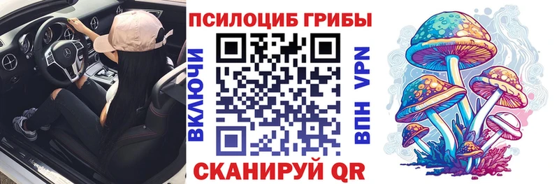 где найти   ссылка на мегу как войти  Псилоцибиновые грибы Magic Shrooms  Нижний Новгород 